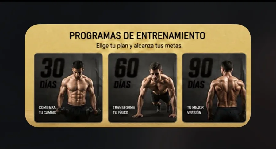 Programa 90 días